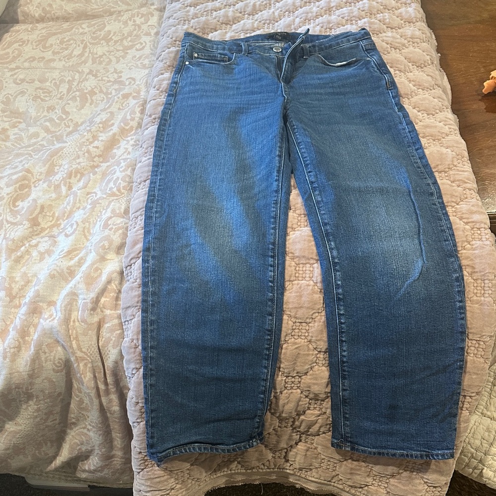 Ann Taylor Blue Denim Jeans